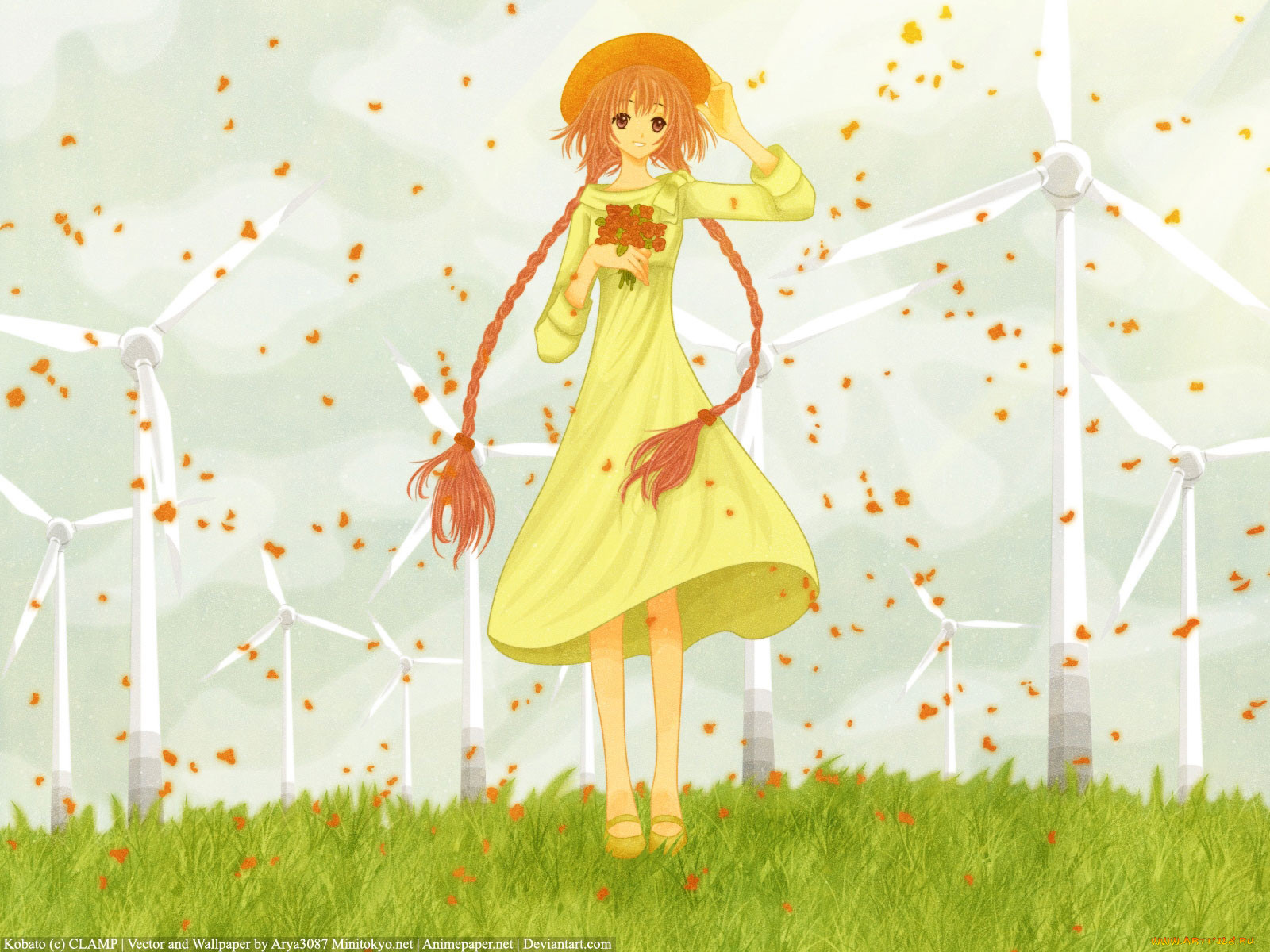 , kobato